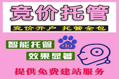竞价代运营助力企业实现业绩突破案例