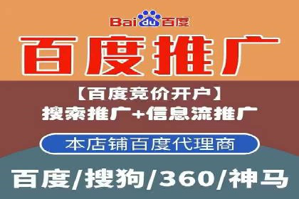 百度竞价与搜索引擎优化（SEO）结合的经典案例